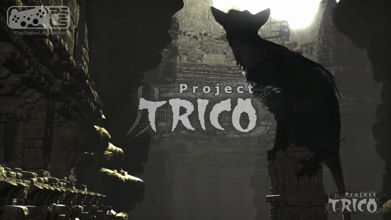 psls-trico-62392