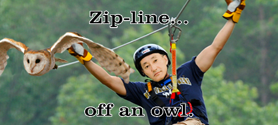 Zip line like a boss