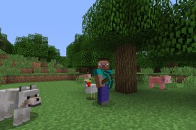 Minecraft update 1.66