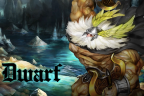 Dragons Crown Pro Dwarf