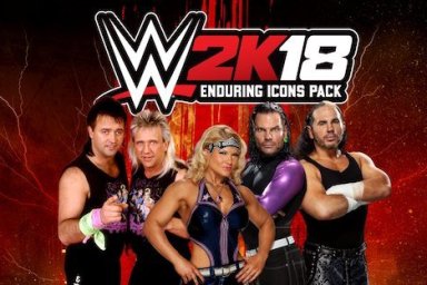 wwe 2k18 hardy boyz