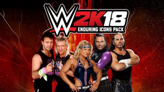 wwe 2k18 hardy boyz