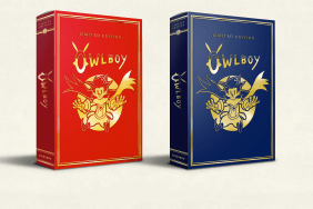 owlboy limited edition