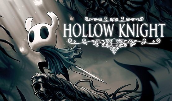 hollow knight physical