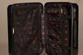 playstation branded carry-on luggage