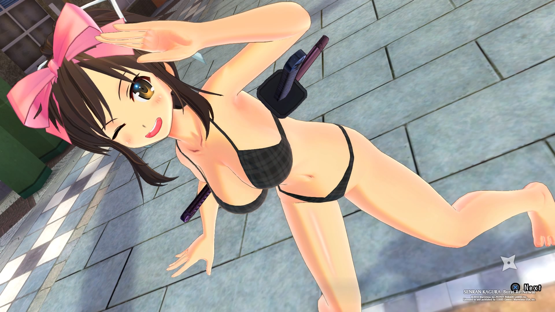 Senran Kagura Burst ReNewal review