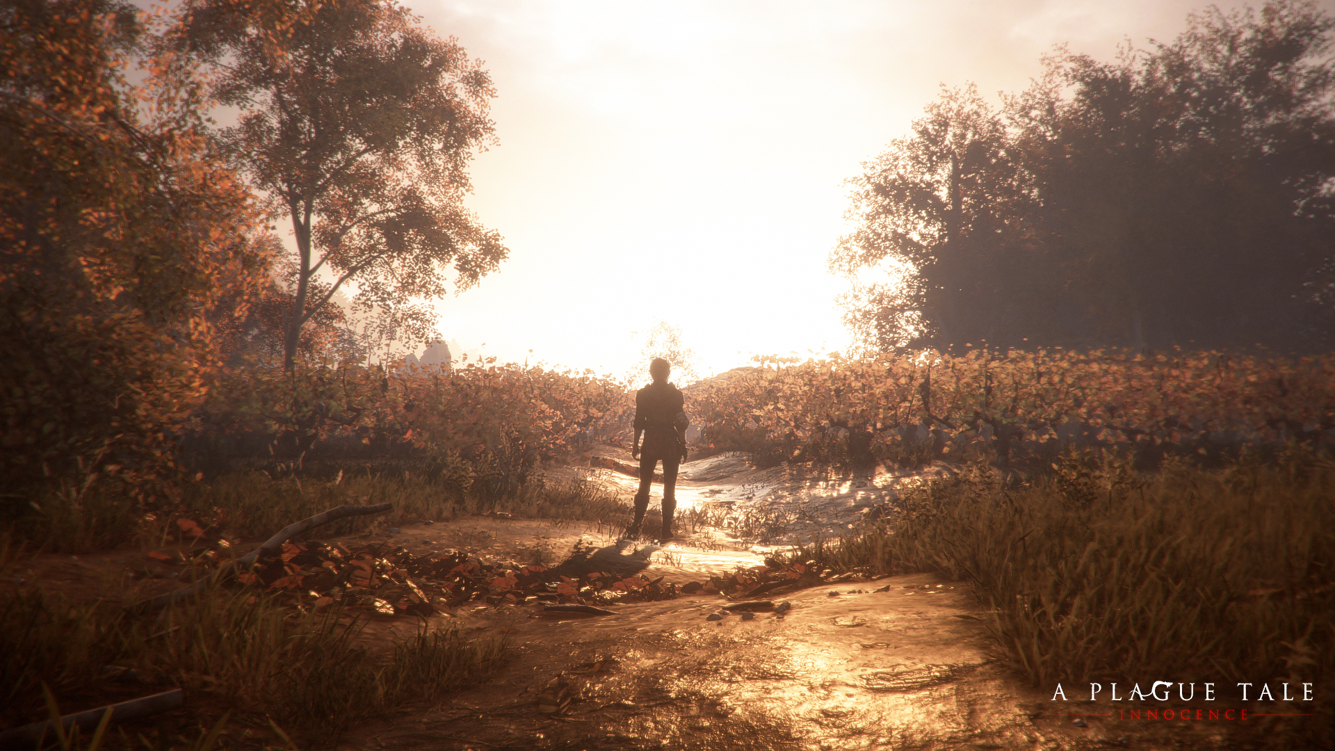 Plague Tale Innocence Preview