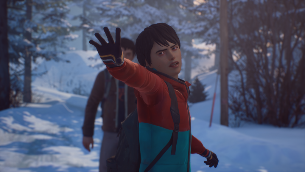 Life is Strange 2 Physical