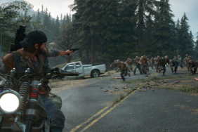 days gone one year anniversary