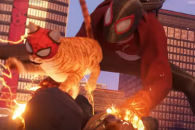 spider-man miles morales spider-cat