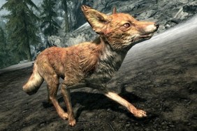 Skyrim Foxes Treasure