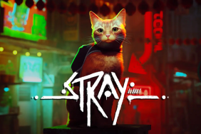 Stray Review PS5