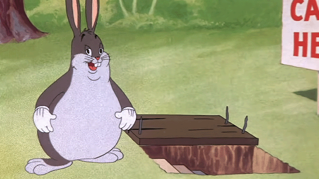 Big Chungus MultiVersus