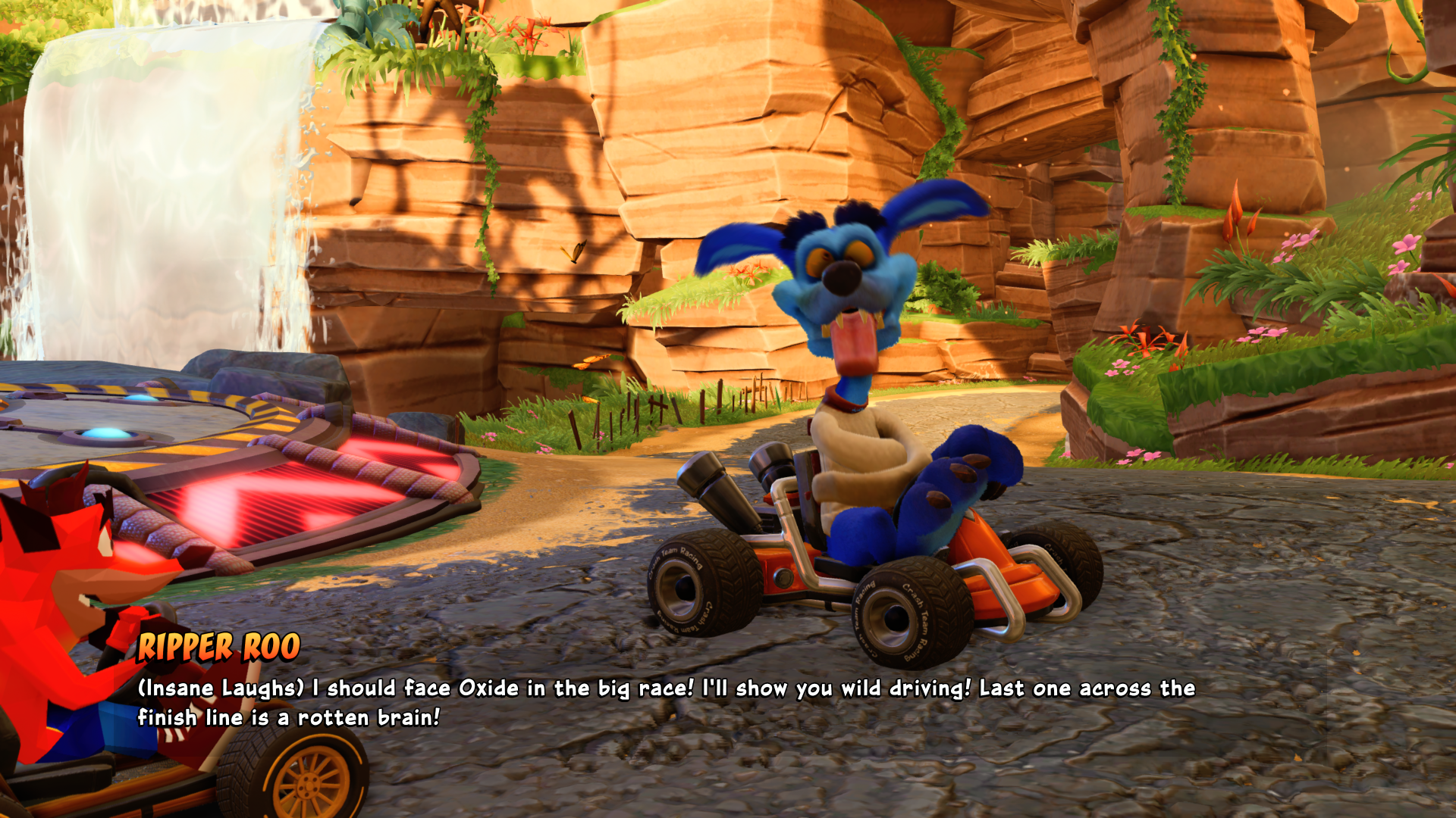 Crash Team Racing Nitro-Fueled PS4 Review #16