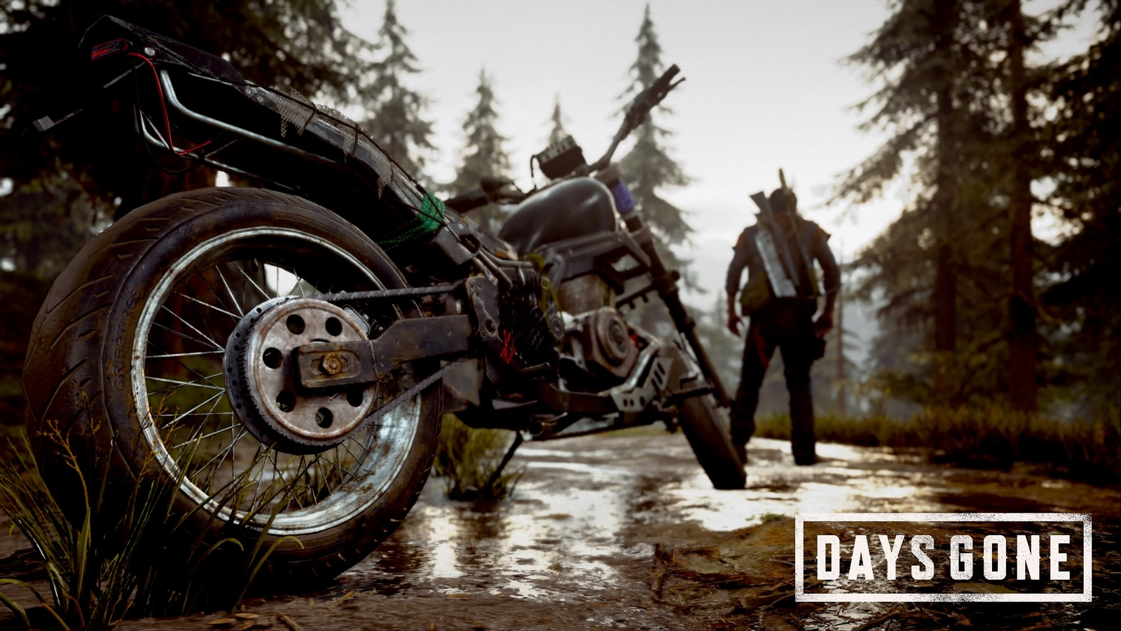 Days Gone Photo Mode 