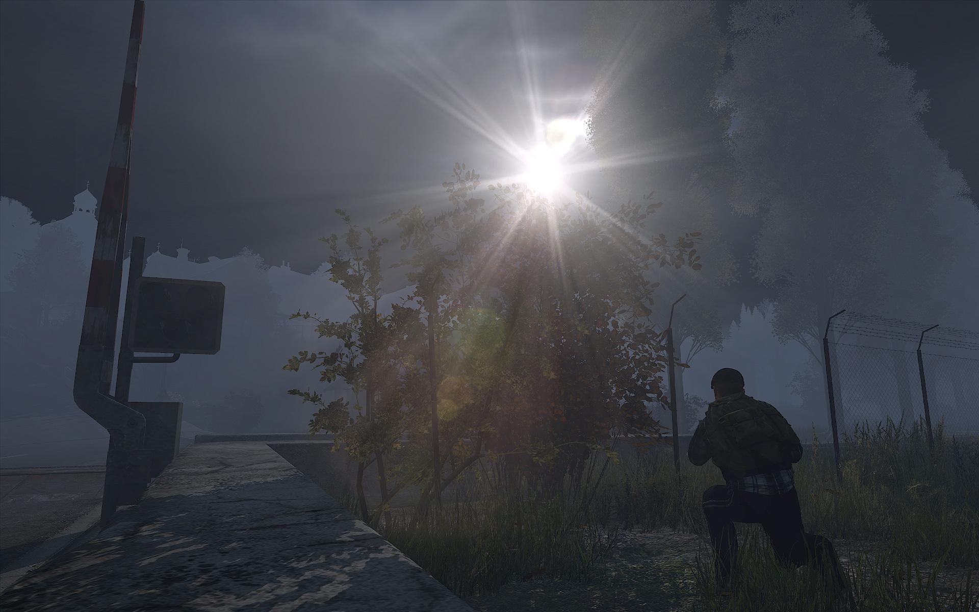 DayZ