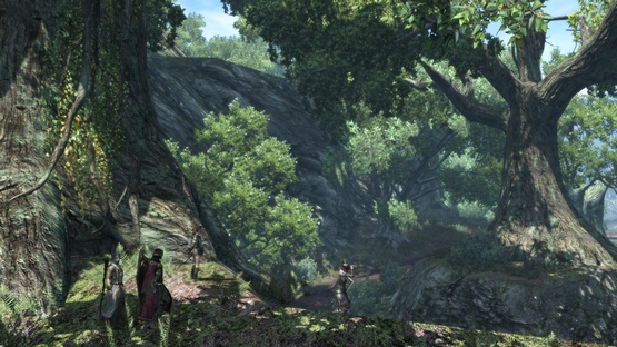 Dragon's Dogma Online