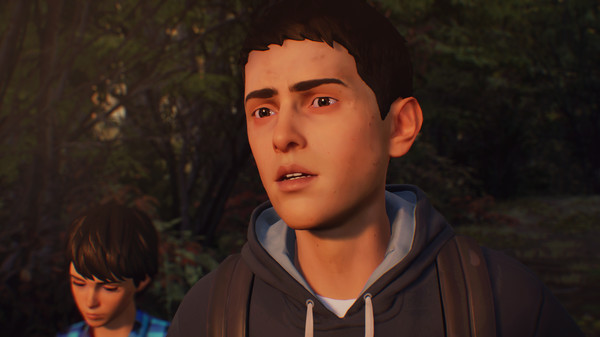 Life is Strange 2 Jan 2019 #10