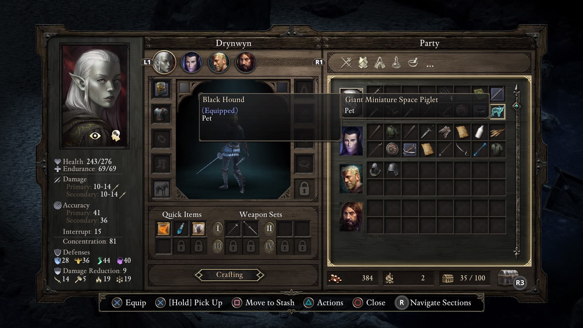 Pillars of Eternity Review #6