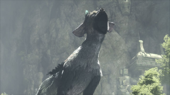 The Last Guardian