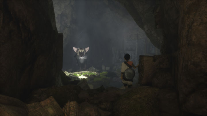 The Last Guardian