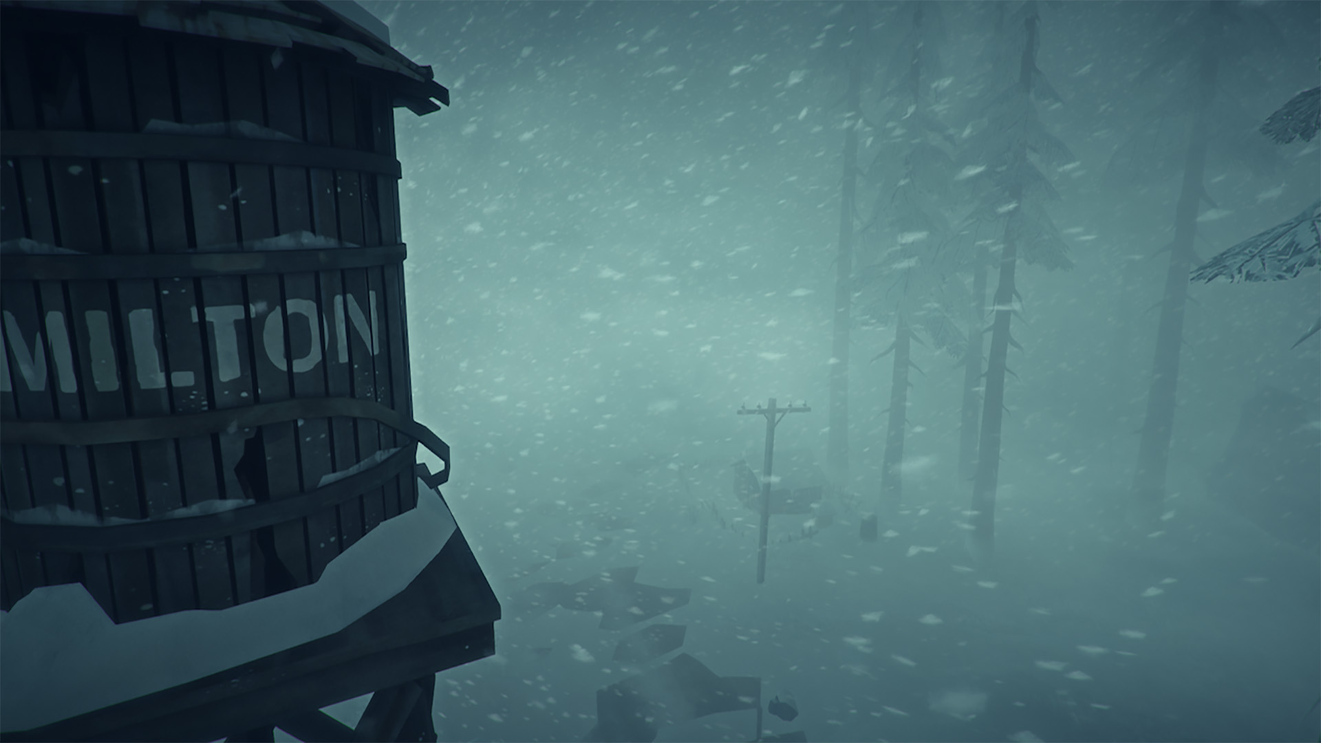 The Long Dark