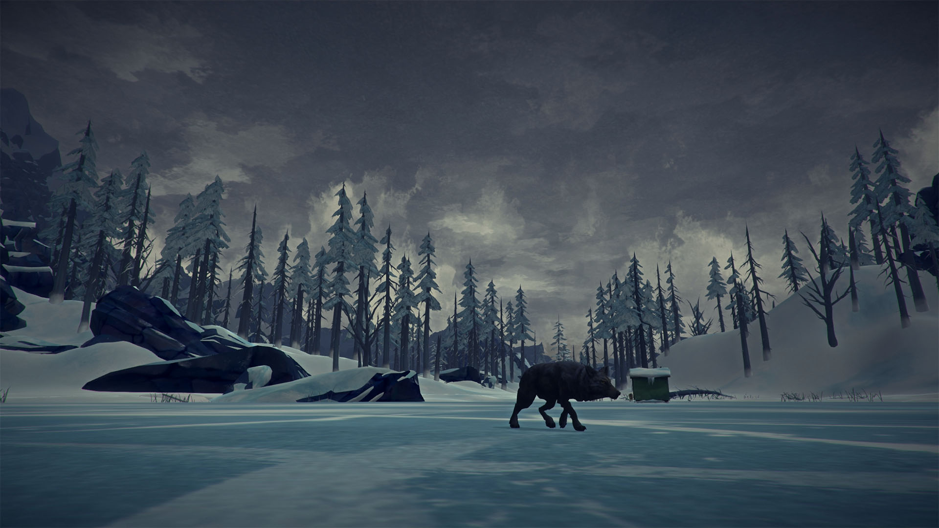 The Long Dark