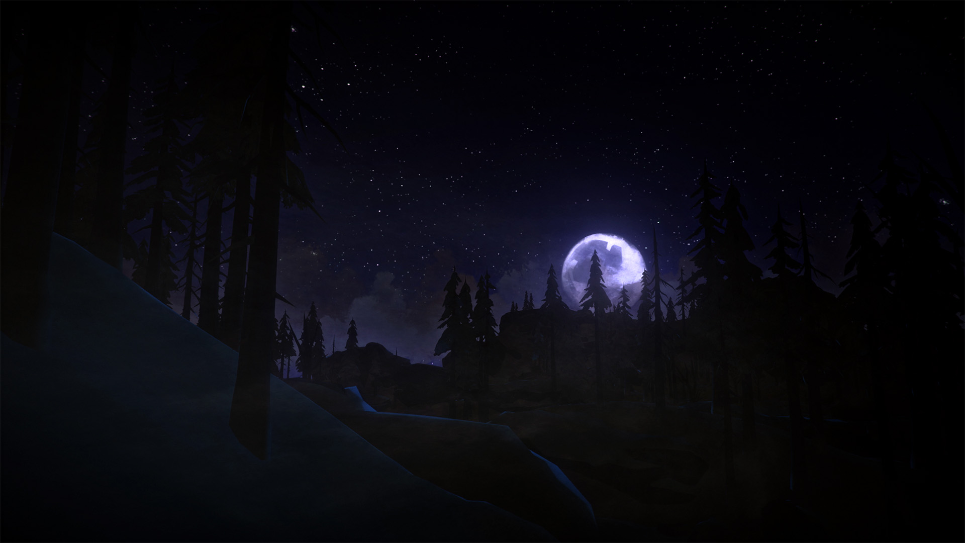 The Long Dark