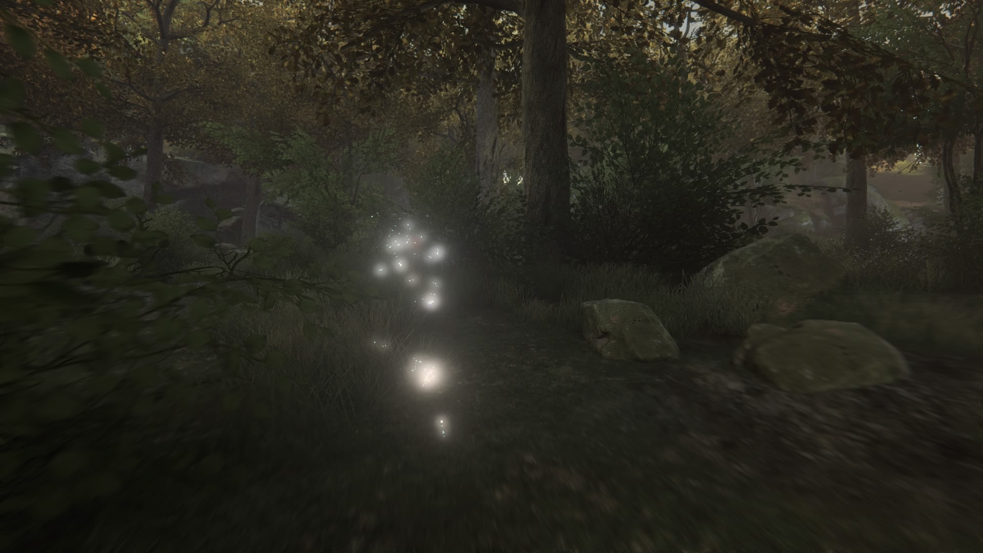 The Vanishing of Ethan Carter