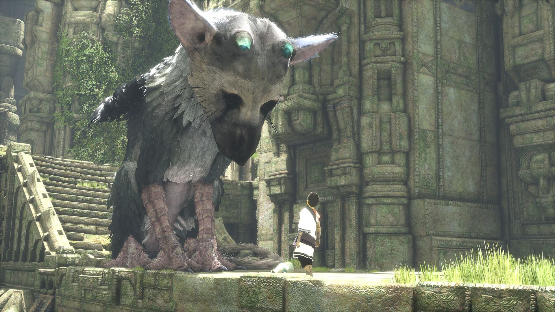 Trico