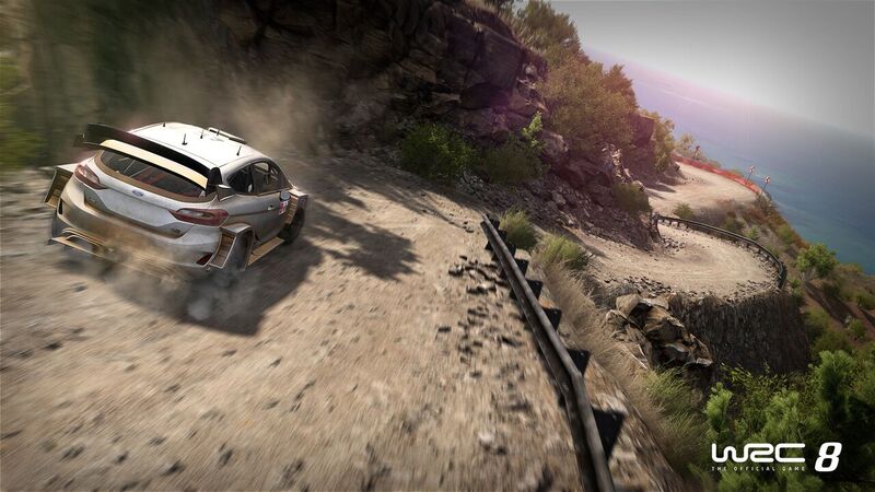 WRC 8 Jan 2019 #3