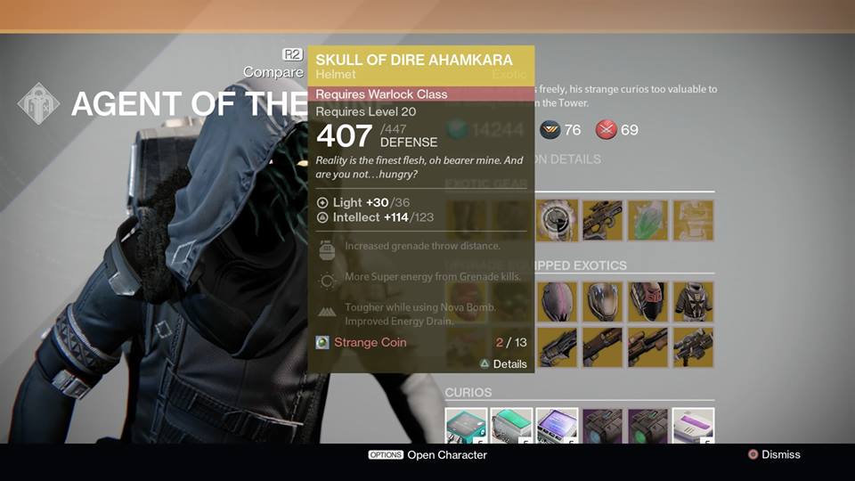 Skull of Dire Ahamkara