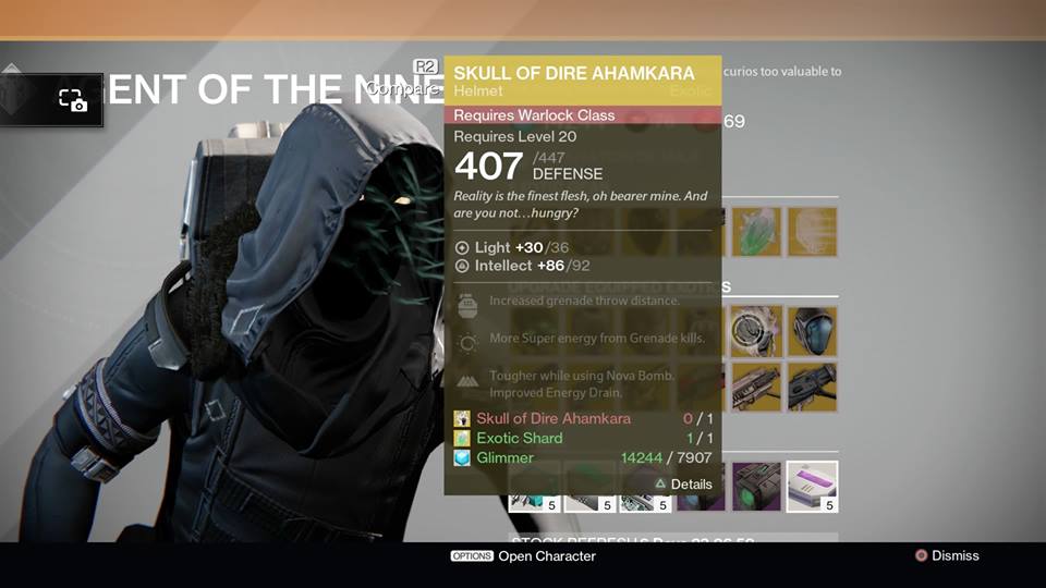 Skull of Dire Ahamkara